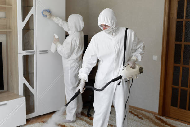 Trusted Sewage Cleanup service in Gladstone, NJ - Four Month Blood Cleanse